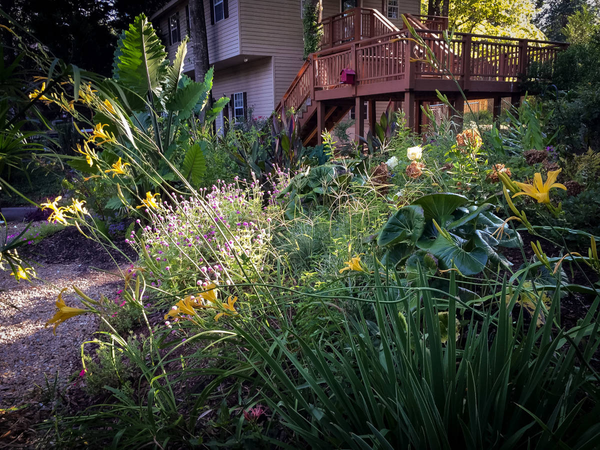 Custom Landscaping, Columbia, SC Bare Roots Gardening