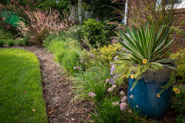 Edible Plant Landscaping, Columbi | Bare Roots Gardening